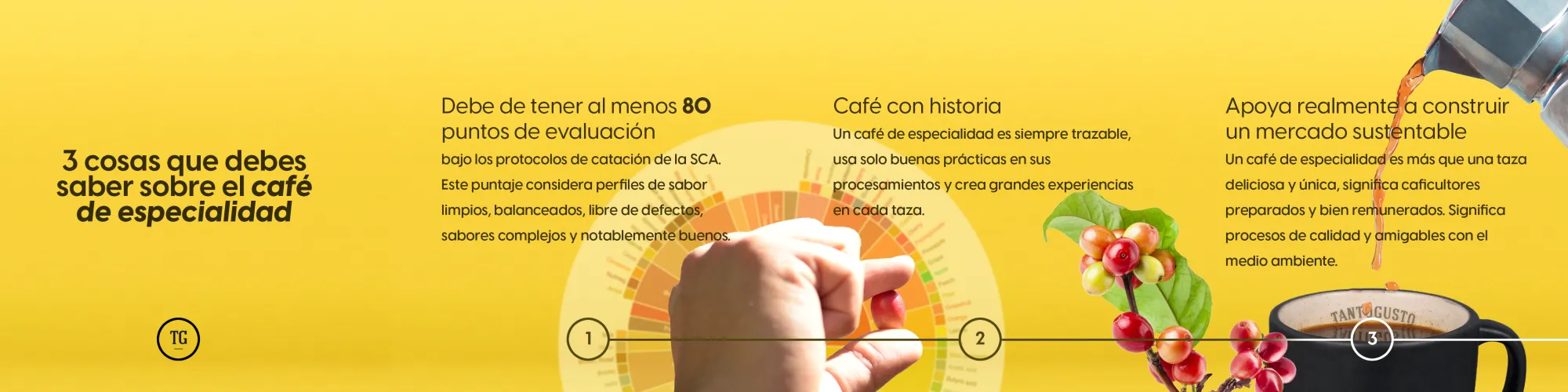 Carrusel de TantoGusto: tres cosas que debes saber sobre el café de especialidad