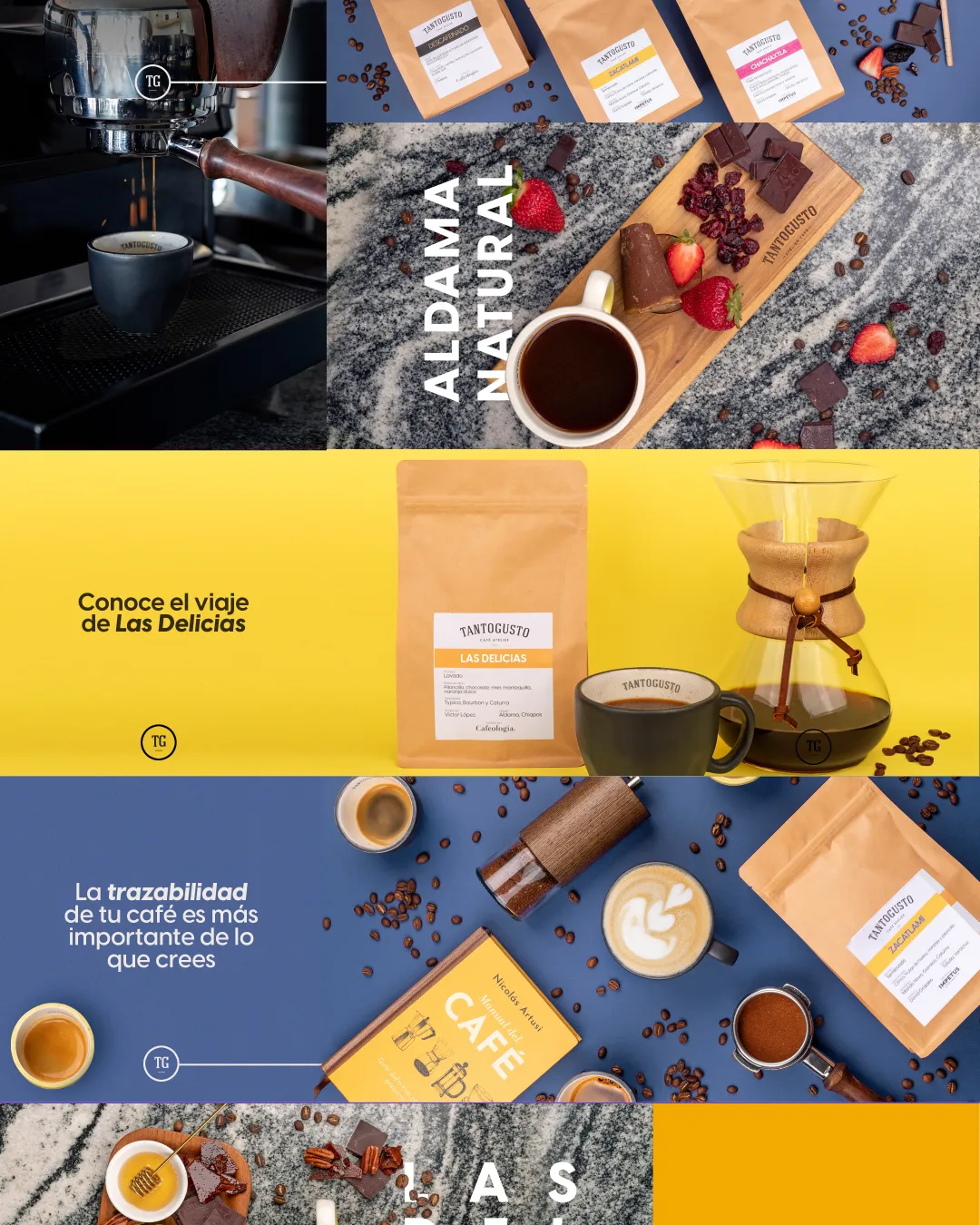 Planeación de la cuadrícula de Instagram de TantoGusto, café de especialidad