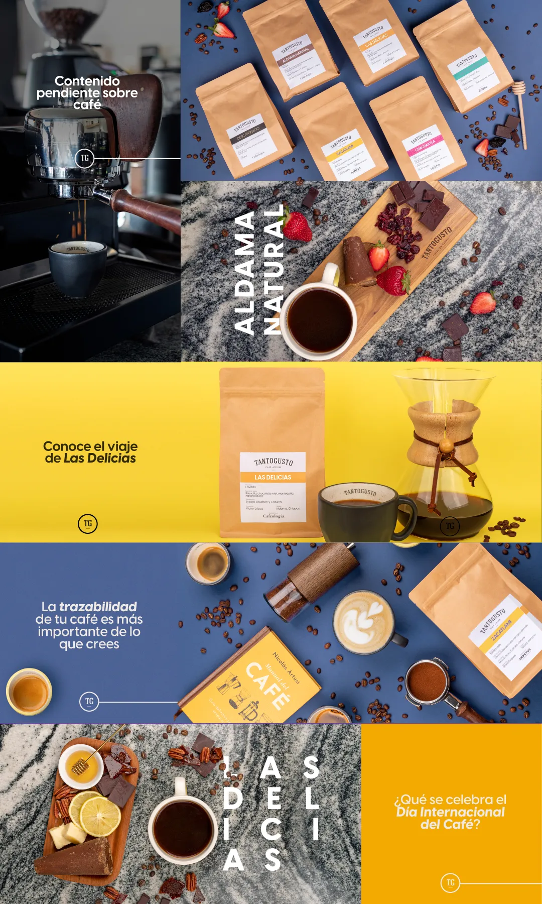 Planeación de la cuadrícula de Instagram de TantoGusto: fotografía de producto y publicaciones educativas sobre café